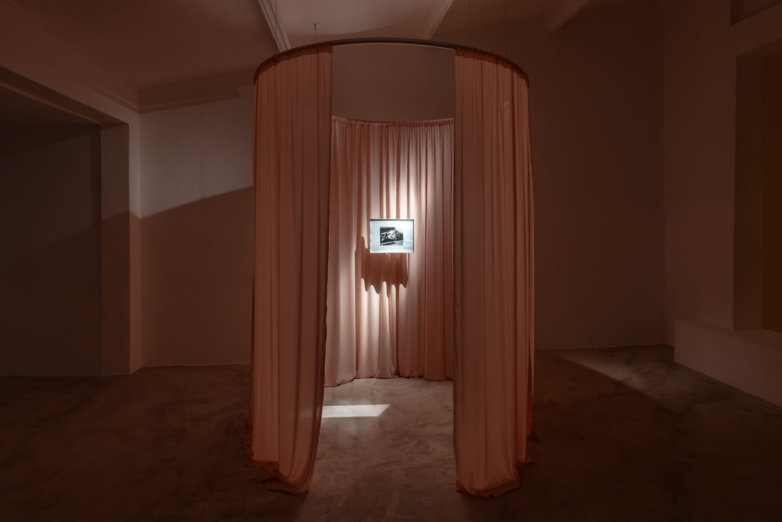 Exhibition: Growing Wild (2025)